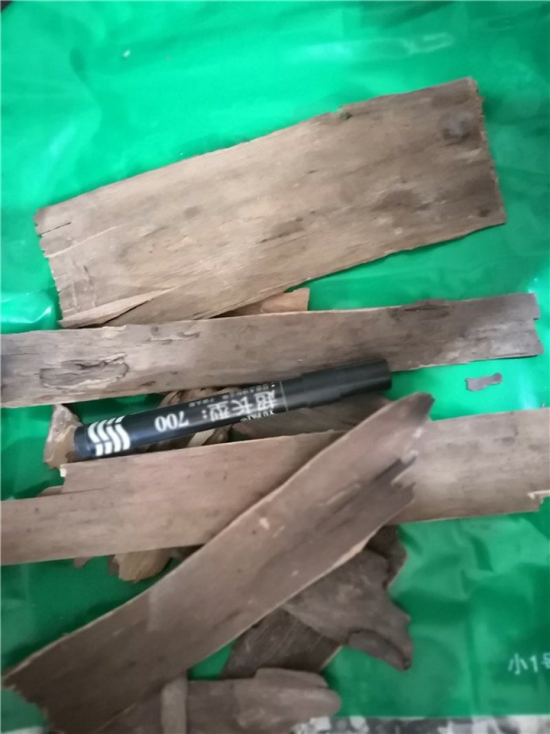 红豆杉皮65一斤