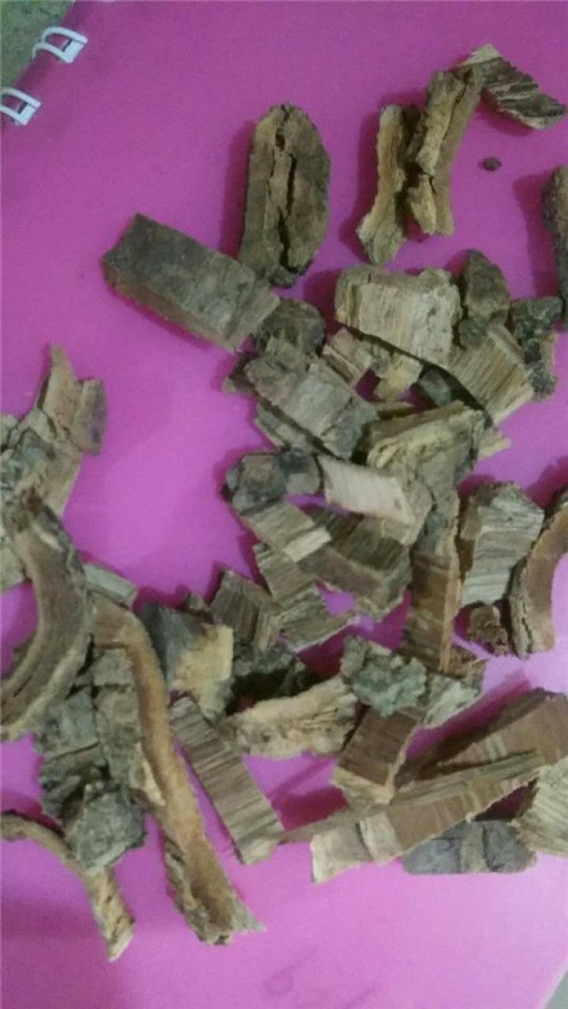 白杨皮中药材