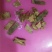 白杨皮中药材