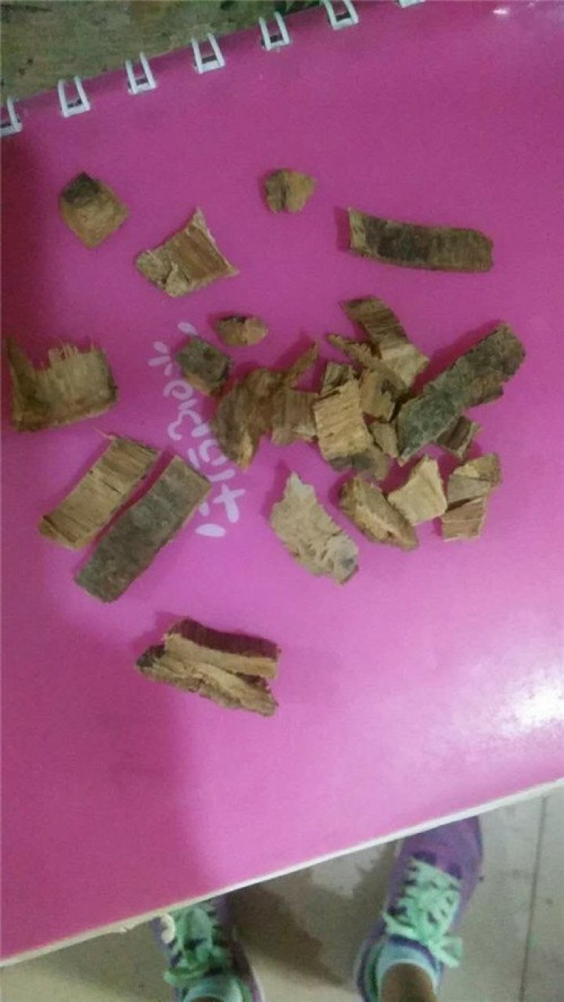 白杨皮中药材