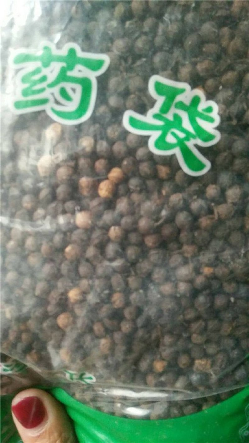 毕澄茄