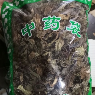 独一味叶