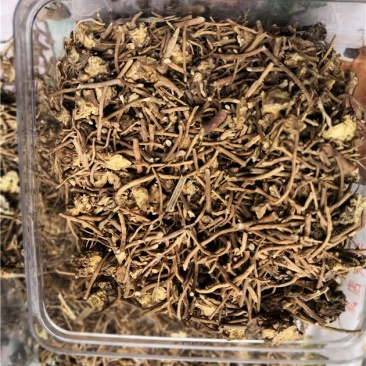 白薇