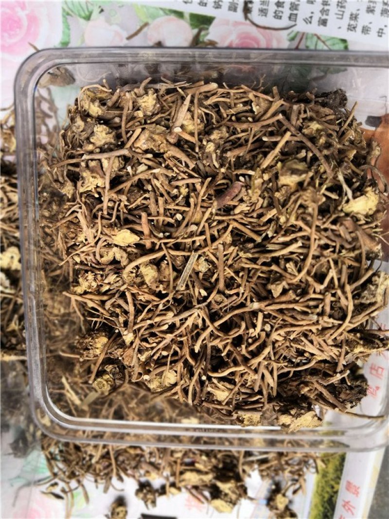 白薇