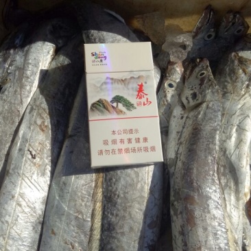带鱼