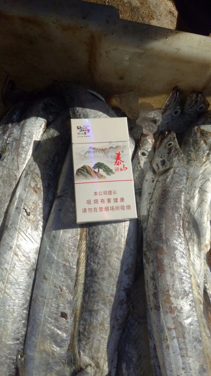 带鱼