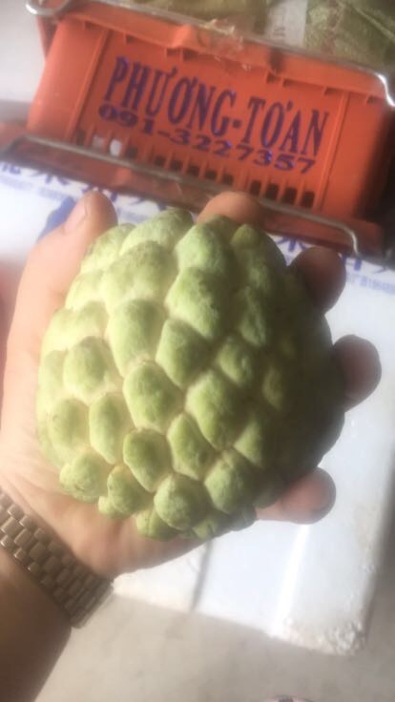 释迦一级750~850g