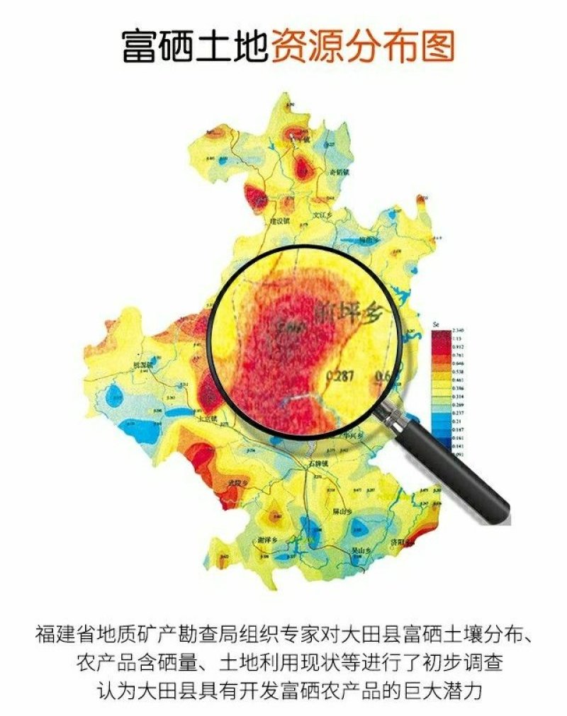 福建省大田县高峰金姜三明市知名品牌福建省著名商标特色金姜