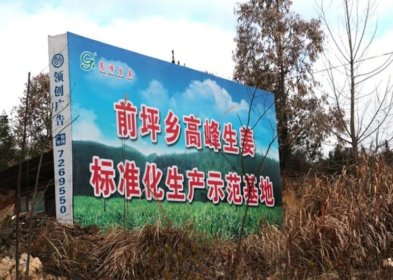 福建省大田县高峰金姜三明市知名品牌福建省著名商标特色金姜