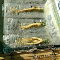 长白山人参，青海枸杞，玫瑰花，茉莉，甘草片，黄芪！