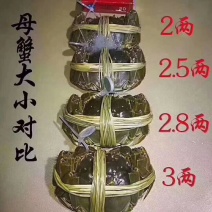 大闸蟹