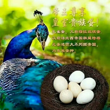 孔雀蛋