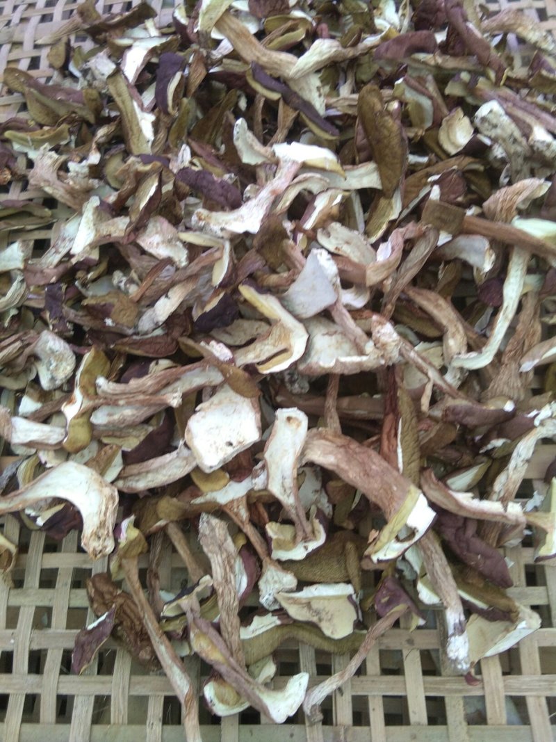 牛肝菌美味牛肝菌