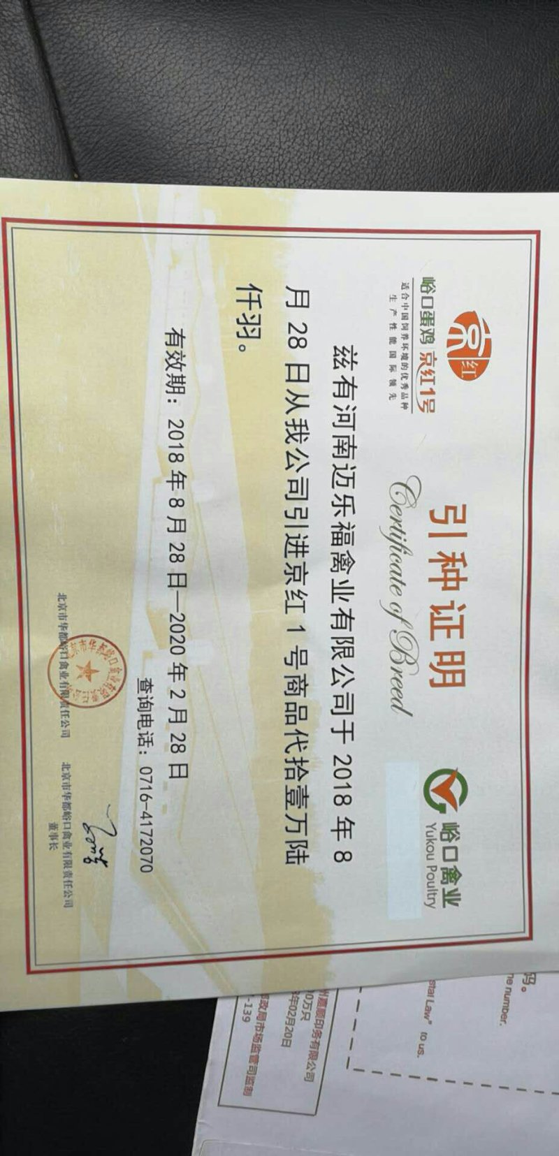 常年供应峪口京红一号60日龄青年蛋鸡。