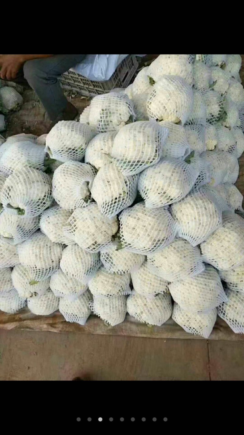 白花菜花紧密乳白2斤