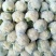 白花菜花紧密乳白2斤
