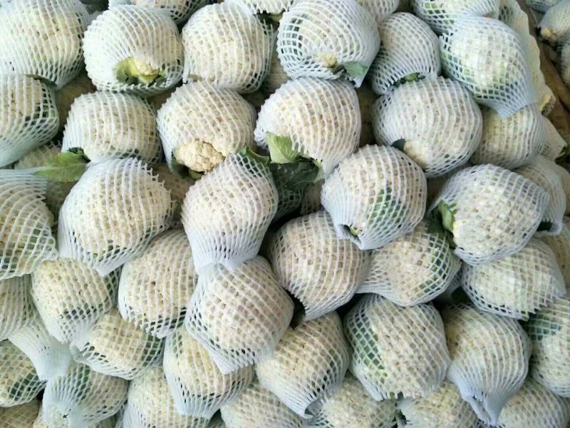白花菜花紧密乳白2斤