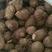 山东毛芋头，芋头，大球，中球，通货全国发货货源稳定