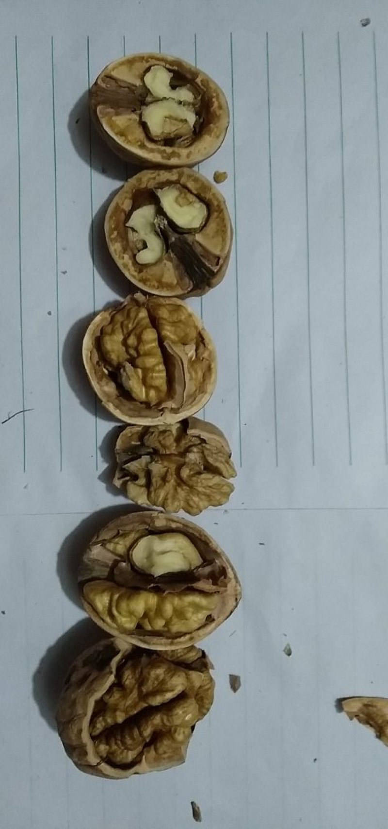 脱皮干核桃