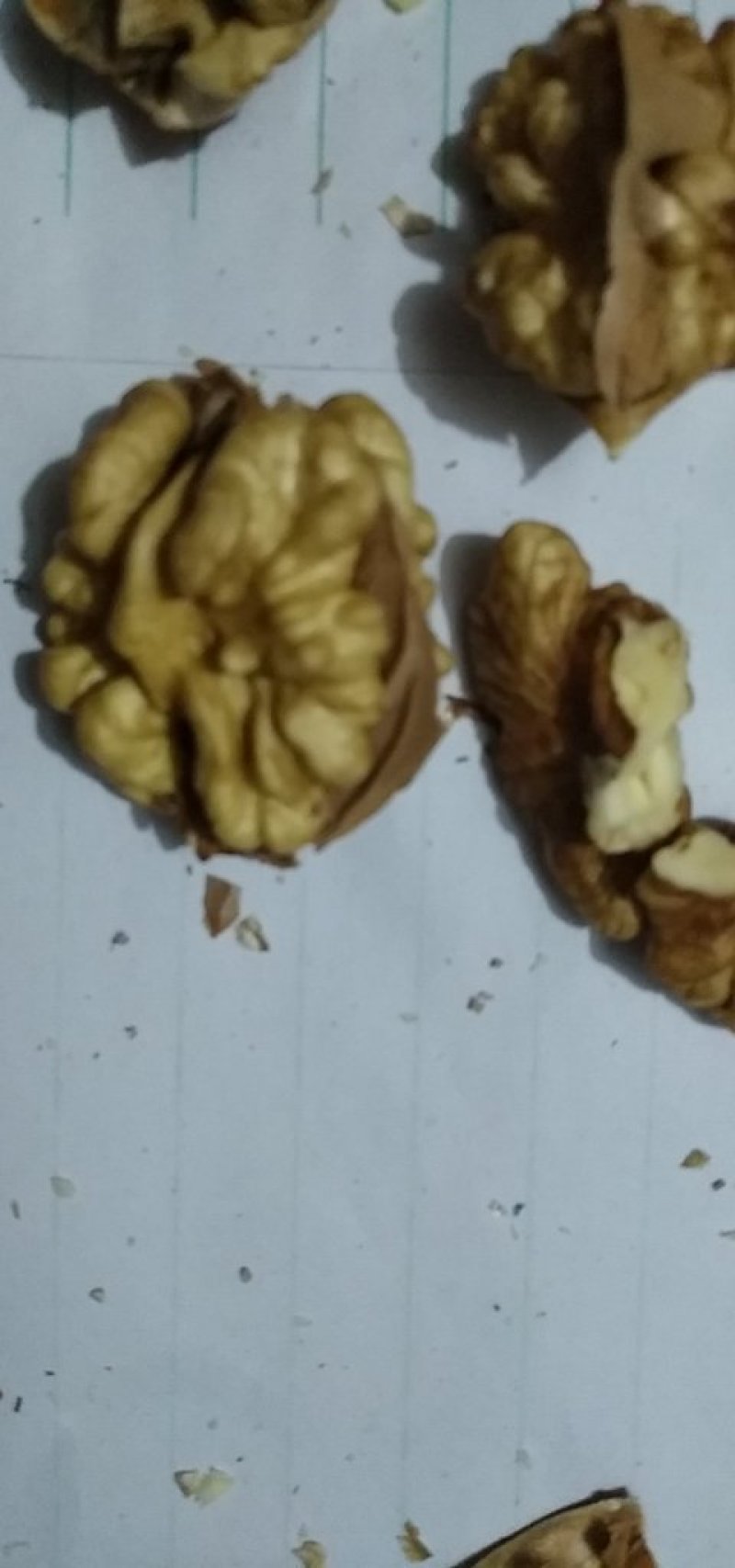 脱皮干核桃