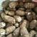 毛芋头，香芋种优质8520，山东优质芋头产地直发