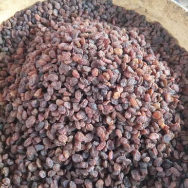 新疆红葡萄干小颗无核零食葡萄干