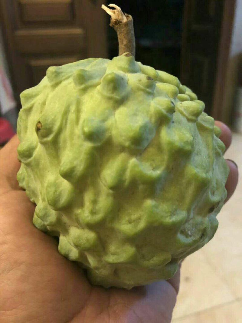 云南生态凤梨释迦