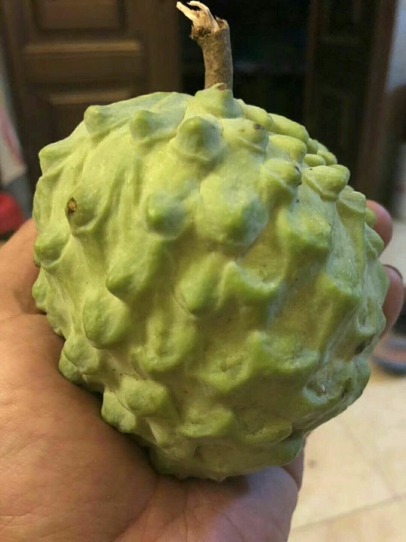 云南生态凤梨释迦