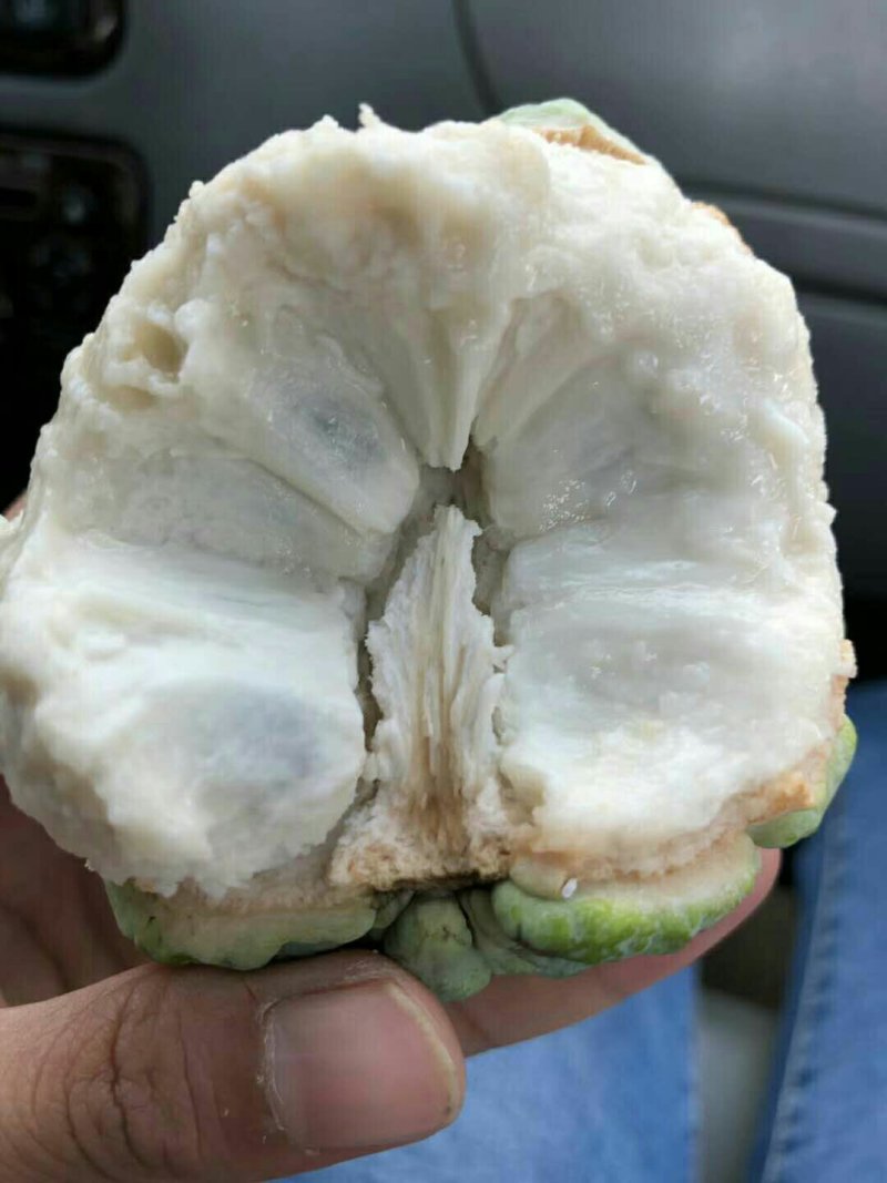 云南生态凤梨释迦