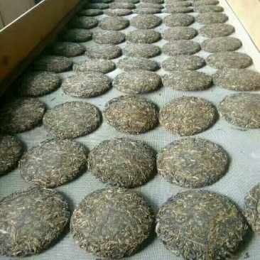 普洱茶生态茶