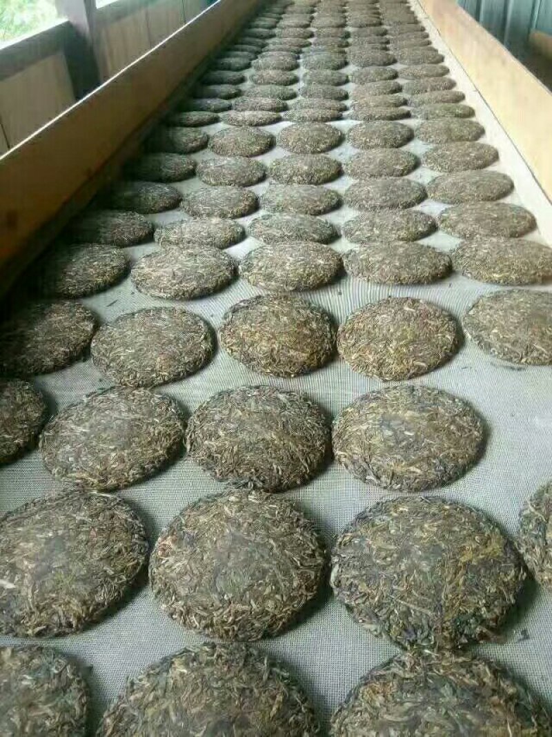 普洱茶生态茶