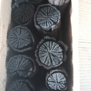 青冈树木炭