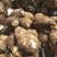 山东万亩优质毛芋头种植基地货源充足，质优价廉，保质保量
