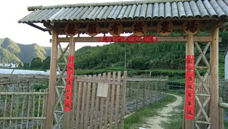 贝贝南瓜，重一至二斤欢迎新老客户来电。