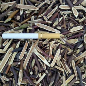 质优价廉皂角刺