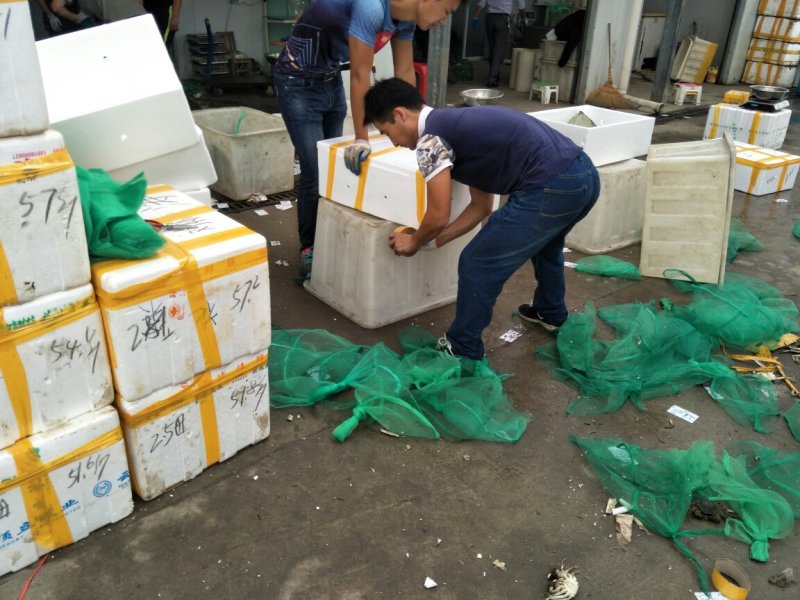 大闸蟹、宝应湖大闸蟹、量大优惠，全国物流发货