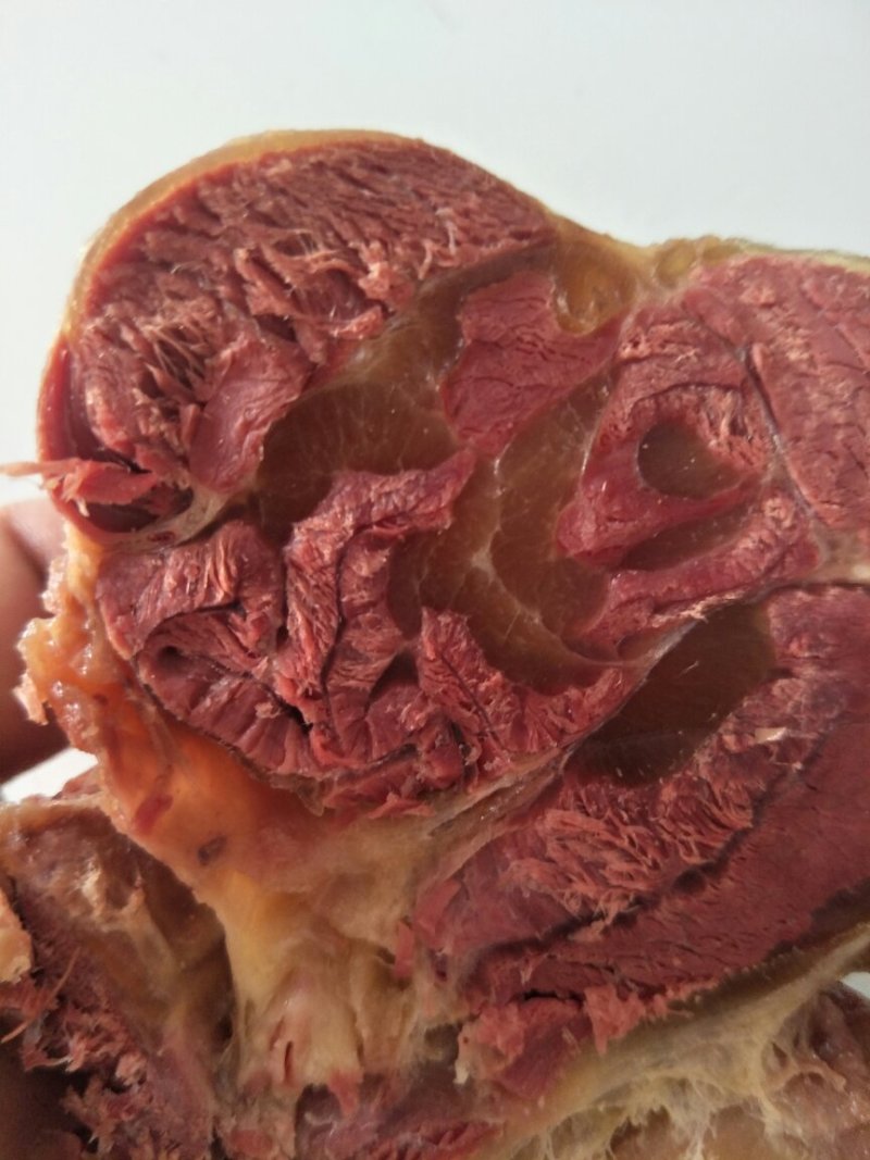驴肉河间曹氏驴肉保真保纯