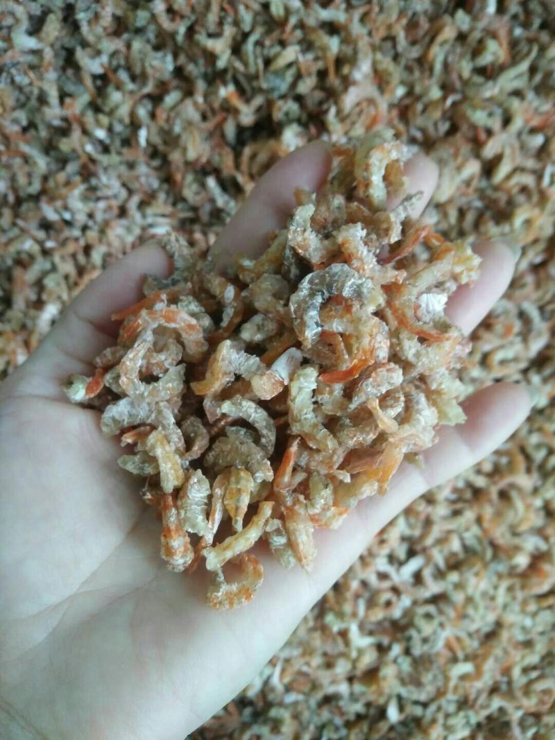 小海米