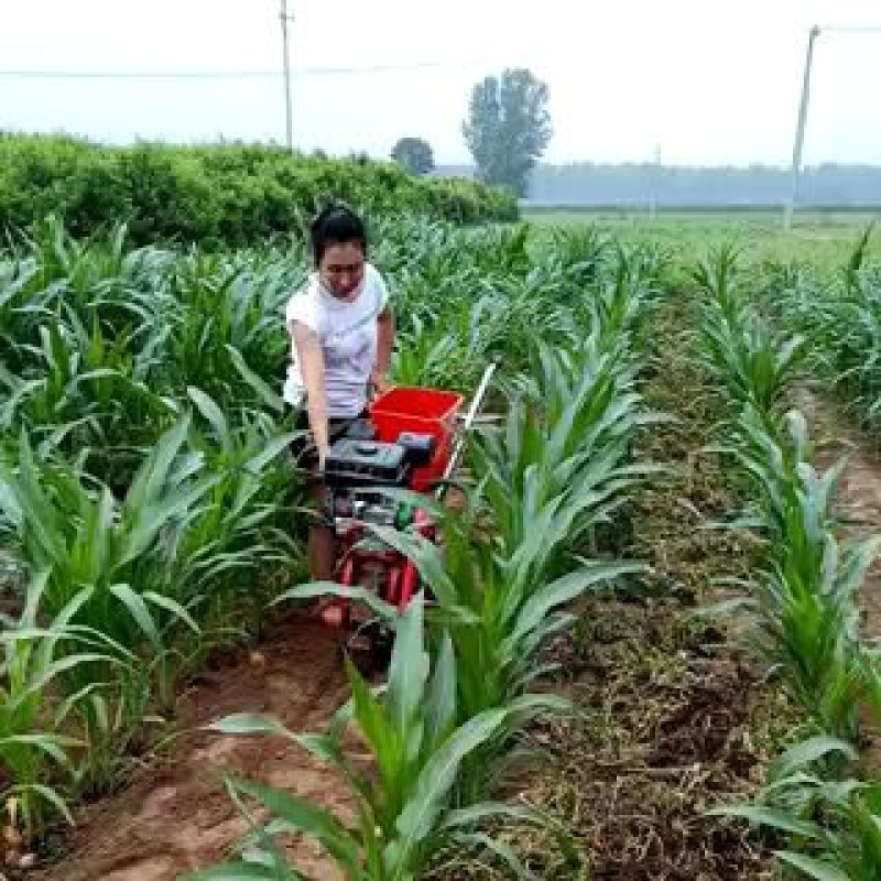 除草机大豆播种机微耕机菜地庄家地用开沟培土机施肥机播