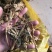 龙胆花