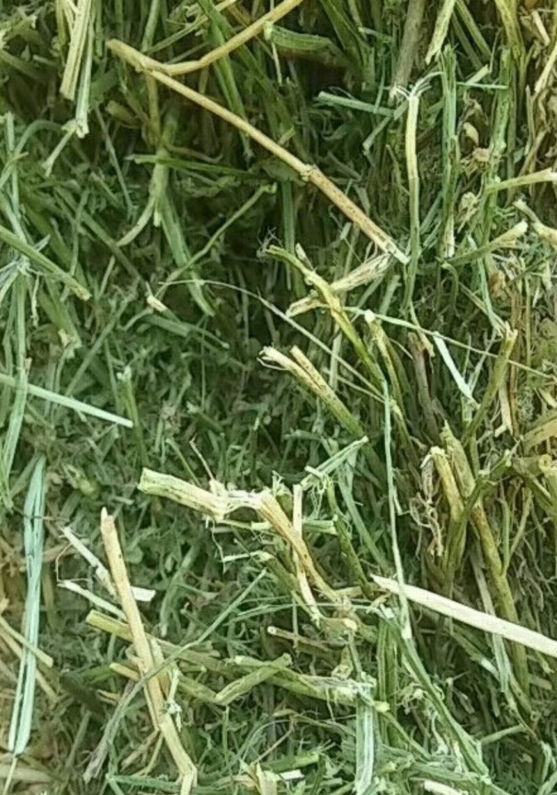 苜蓿全株玉米秸秆羊草