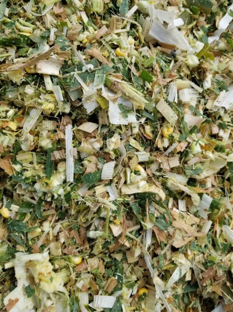 苜蓿全株玉米秸秆羊草