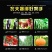 2019款绑枝机西红柿绑蔓机黄瓜绑秧器冬瓜绑藤机捆绑机