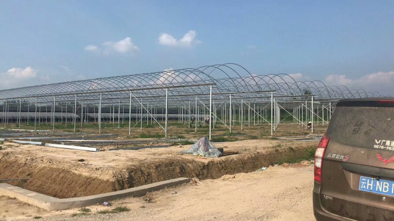 蔬菜大棚6/8/宽热度锌厂家直销包用15年左右可定制