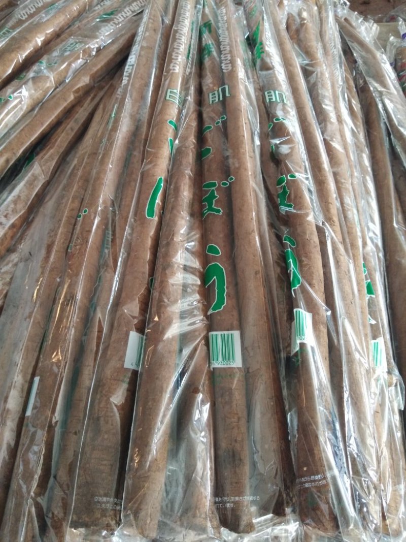 牛蒡牛蒡根保鲜牛蒡牛蒡干牛蒡片牛蒡颗粒一手货源