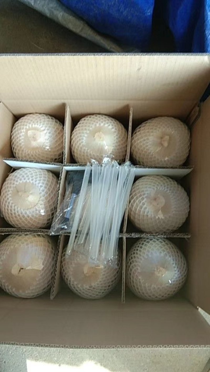 椰青，一箱9个
