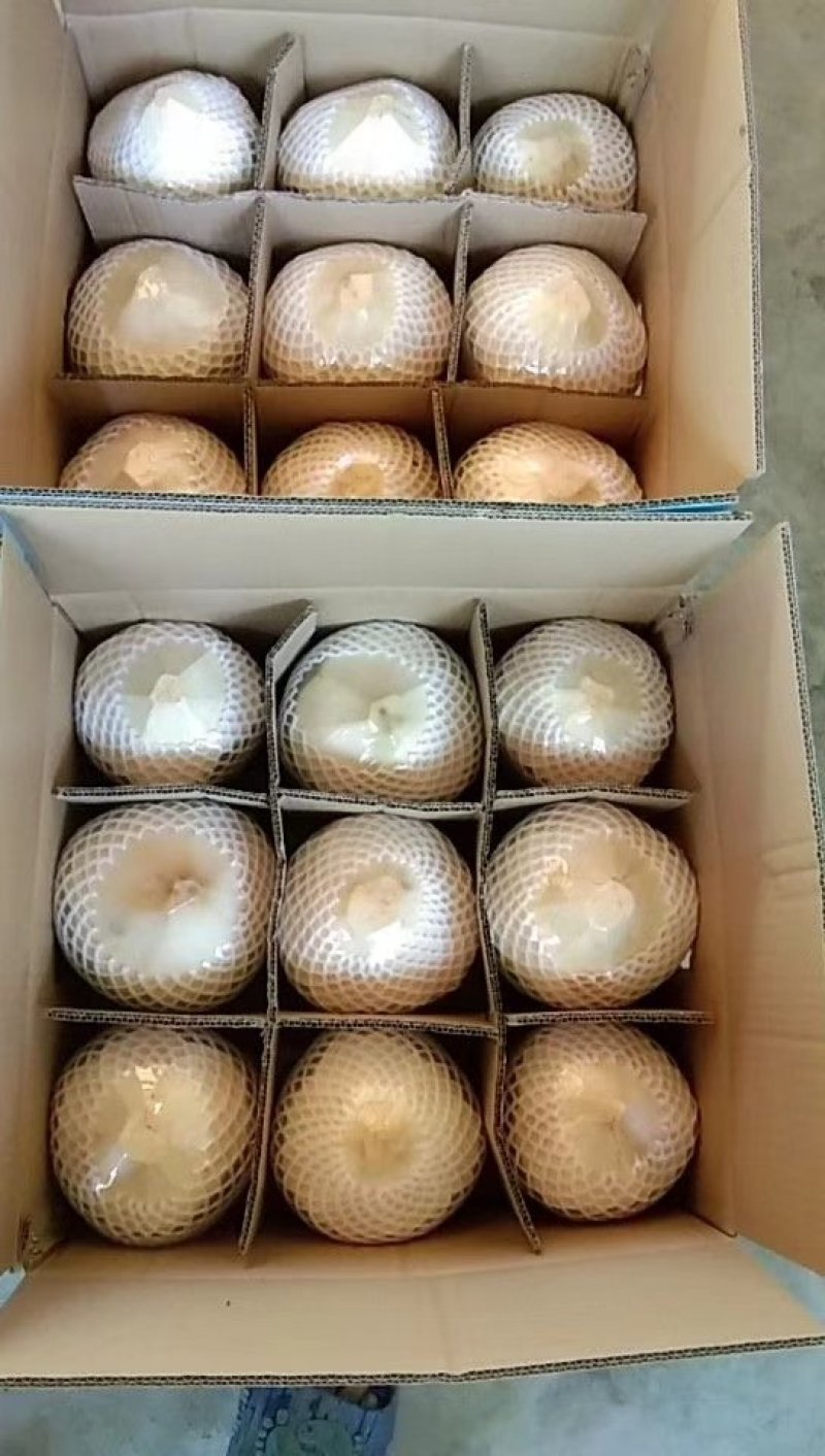 椰青，一箱9个