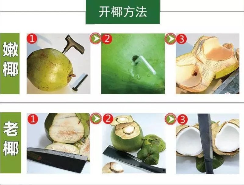 文昌东郊青椰，6个装带皮