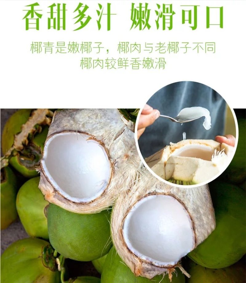 文昌东郊青椰，6个装带皮