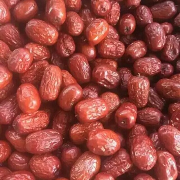 批发供应新疆特产特级若羌红枣灰枣散装袋装食品批发免洗大枣